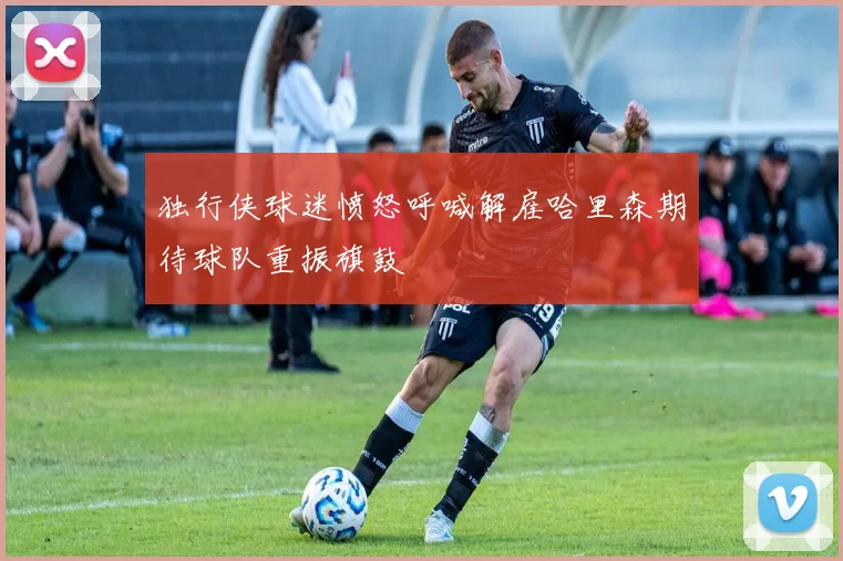 独行侠球迷愤怒呼喊解雇哈里森期待球队重振旗鼓